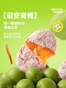 XueJi Fried Snacks 88g Bag Soft Chewy Leisure Dry Plum Pastries No Nucleic Acid Sweet Fruit Preserves Snacks from Fujian