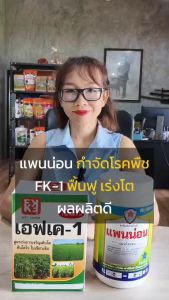 ต้นปาล์ม เป็นโรคจากเชื้อรา ใบไหม้ ใบจุด ยอดเน่า รากเน่า ใช้แพนน่อน หยุดโรค+FK-1 ฟื้นฟู โตไว ผลผลิตดี