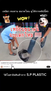 (ตรางู) ถังหูหิ้ว พลาสติก คละสี สีดํา เบอร์15161820 ถังหิ้วน้ํา ถังหิ้วปูน คุณภาพเหนียว ทนทาน ใช้งานคุ้มค่า (ขายเป็นใบ)