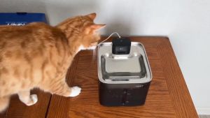 【Philippines spot 】4L large capacity Cat And Dog Drinking Fountain Automatic 304 Stainless Steel Pet Fountains Water Dispenser Ultra Quiet