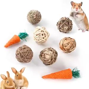 ของเล่นกระต่าย สัตว์ฟันแทะ อาหารสัตว์ฟันแทะ ขนมลับฟัน กระต่าย หนูแฮมเตอร์ ชูการ์ กระรอก เม่นแคระ แครอทอัดแท่ง ไม้ไผ่หวาน ลูกบอลหญ้า