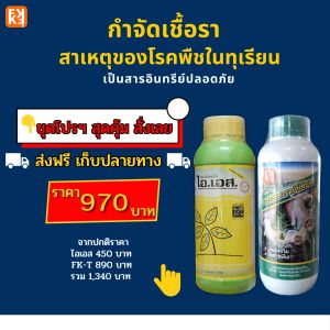 ทุเรียน ใบไหม้ ราดำ ราแป้ง กำจัดโรค ได้รับการรักษาจากเชื้อราต่างๆ ปลอดสาร พิษ ไอเอส และ FK-T เพื่อผลลัพธ์ที่ดี ที่สุด