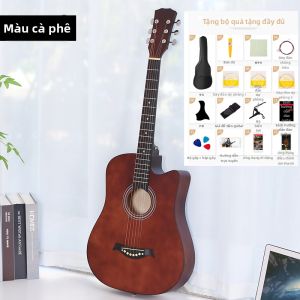 Guitar Acoustic cho Người Mới Bắt Đầu