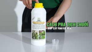 Phân bón hữu cơ dịch chuối DOCNEEM phân bón cho phong lan hoa hồng cây cảnh kích rễ kích kei chồi mầm chai 1 lít