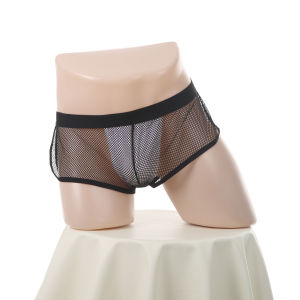 Man Thin Boxer Shorts Men Mesh Transparent See Through Underwear Lingerie Homewear Panties
