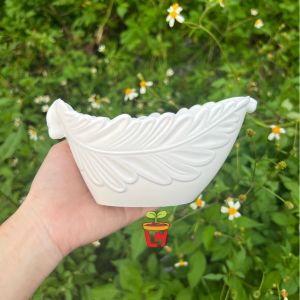 Chậu nhựa trồng cây mini trồng sen đá (Chiếc thuyền) 15x7x7cm
