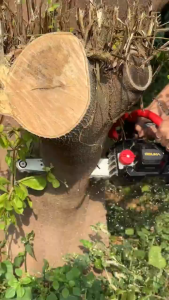 (ถูกสุด) OSUKA อะไหล่เลื่อยโซ่ ของแท้ ตัดคม OCCS430 อะไหล่เปลี่ยน บาร์โซ่ โซ่เลื่อยตัดแต่งกิ่ง