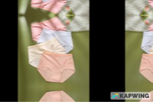 Celana Dalam Underwear Undies CD Wanita Ukuran L ( 28x25 cm ) Art 801