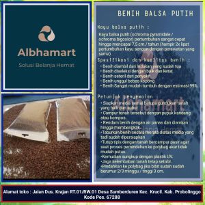 benih [ biji bibit kayu balsa putih super