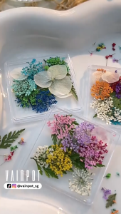 【Vainpot-SG】Pressed Dried Flowers & Leaves Mix Nail Art Decorations