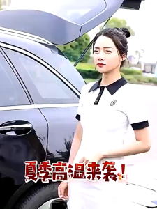 Car Strong Dual Fan USB 12V/24V 360 Degree All-Round Adjustable Car Auto Air Cooling Low Noise Car Fan