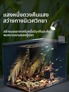 VOA | Đèn LED Chiếu Điểm Cho Bể Cá Cảnh và Đèn Môi Trường