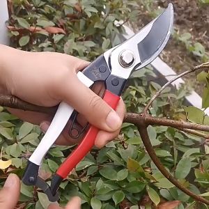 Kéo cắt cành cao cấp K227 { PASEEDS }