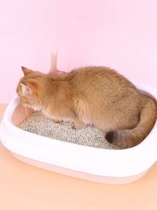 Cat Litter Box With Scoop: A Comprehensive Guide