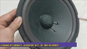 Loa bass 25 coil 38 màng vài từ kép chất hay - giá 1 chiếc