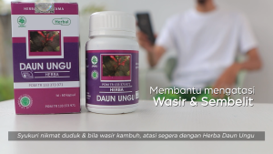 Suplemen Herbal HIU Daun Ungu untuk Meringankan Gejala Wasir (Ambeien) - 60 Kapsul