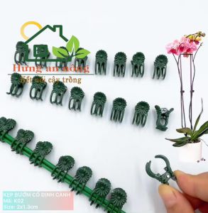 mã k02 - set 50 kẹp bướm cố định lan lan hồ điệp cây cảnh dây leo – size 2.1x1.1cm