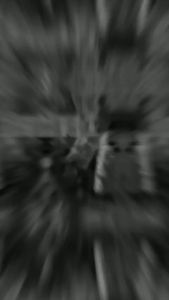 2kg BÁNH TRÁNG CUỘN HÀNH XA TẾ CHAY - ĂN VẶT