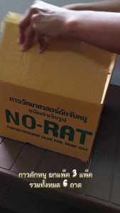 Small Evting กาวถาดดักหนูNO-RAT แพ็ค3กล่อง (1กล่องมี2ชิ้น) กาวดักหนู กาววิทยาศาสตร์ดักหนู กาวถาดดักหนู 3กล่อง6ถาด กาวจับหนู