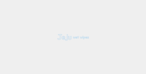 [GWP] DO NOT BUY | Jeju Wet Wipes 1pack (80sheets) | Refill type(no hard cap) | Baby wipes | No harmful chemical | EWG safe ingredients | 50gsm