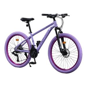 HONGQI | Mountain Road Bike for Adult and Youth Purple Tires Off-road Variable Speed