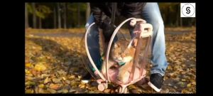 "Local Stock" Pet Carrier with Mat Pet Transport Luggage with Wheels and Telescopic Handle Pet stroller Pet Travel Carrier for Small & Medium Dogs/Cats