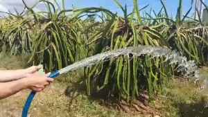 Đầu tưới vòi tưới phi 25 có thể điều chỉnh dùng tưới cây xịt rửa xe vệ sinh chuồng trại...