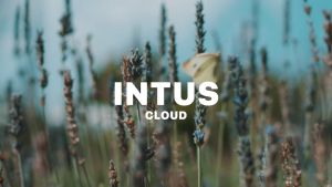 INTUS Lux Fragrance Family Gifts Perfume Body Lotion Body Wash Shampoo Conditioner For men For women