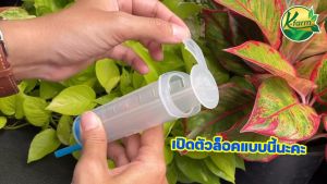 ชุด เข็มฝังต้นทุเรียน: พร้อม ปลอกเข็ม รักษาโรครากเน่า ทุเรียน ฉีดยาต้นทุเรียน เข็มฉีดต้นทุเรียน คุณภาพ K FARM