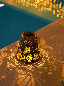 DADAN | Solar Water Resistant Garden Decoration Light