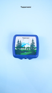 Tupperware Sandwich Keeper 200 ml | Set of 2 | Compact Lunch Box