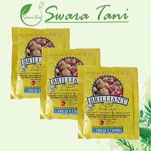Fungisida Brilliant 72 WP 100gr brilian ORIGINAL