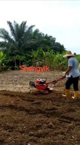Shengyik ROMEO MINI TILLER RMT5573