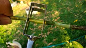 คีมตอนกิ่ง 10 นิ้ว คีมตอนกิ่งขั้นเทพ กรรไกรตอนกิ่ง  กรรไกรตอนกิ่งประหยัดเวลา ใบมีดสแตนเลส