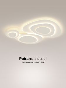 FANZHEN | Scandinavian Modern Ultra-Thin Creative LED Ceiling Light