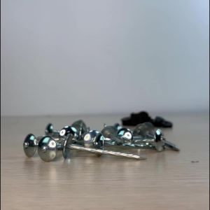 L-40/50/65/80/100mm Umbrella Head Roofing Nails Twist Shank Galvanized Wood Nail Roofing Top Use Big Head Nail Screw Shank