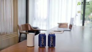 Mini Chargeable Waterless Aroma Diffuser Essential Oil Nebulizing Home Car Fragrance Scent Diffuser