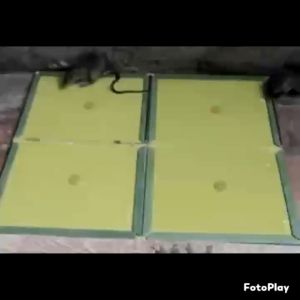Mouse Board Sticky Mice Glue Trap High Effective Rodent Rat Snake Bugs Catcher