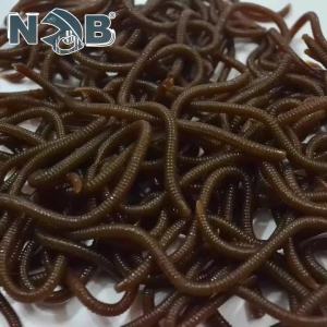 Mồi Câu Giả Mềm Hình Giun Đỏ NGB Siêu Thực 7.5CM 10 Cái/30 Cái Mồi Câu Cá Mùa Đông Trên Băng Mồi Giun Đất Silicon