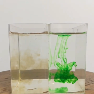 Ekstrak Daun Ketapang 250ml Bebas Minyak