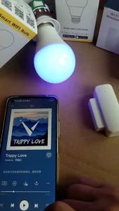 Wifi Smart Rgb+cct E27 12W Led Bulb Dimmable Wireless Remote Controller / Lampu Wi-Fi