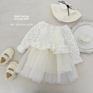 Lace Trim Princess Style Mesh Dress