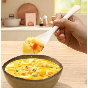Eco-Friendly Creative Multi-Functional Rice Spoon for Cooking Curry Rice Making Dumplings And Sushi TAKARABUNE Brand
