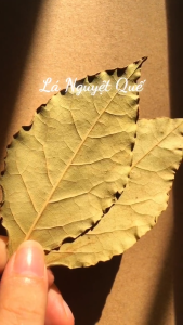 Lá nguyệt quế (Bay leaf)