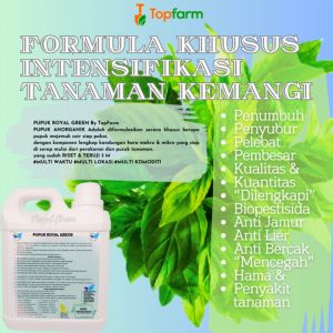 Pupuk Penyubur Tanaman Sayuran: Pilihan Terbaik untuk Kemangi