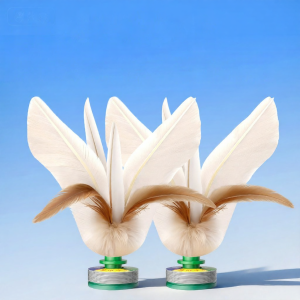NUOXUNDE | Childrens & Students Competition Feather Shuttlecock