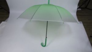 Automatic Transparent Gradient Umbrella 8-Ribs UV Protection Parasol / Payung Duo Warna