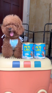 [100G - 400G] Sữa Bột Dr.Kyan Predogen Gold Cho Chó