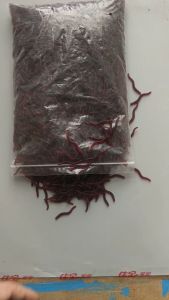 100pcs Soft Bait Cacing Tiruan Umpan Pancing Umpan Palsu Cacing 35cm