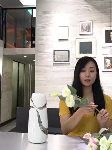 Vại Sứ Cao Cấp Trang Trí